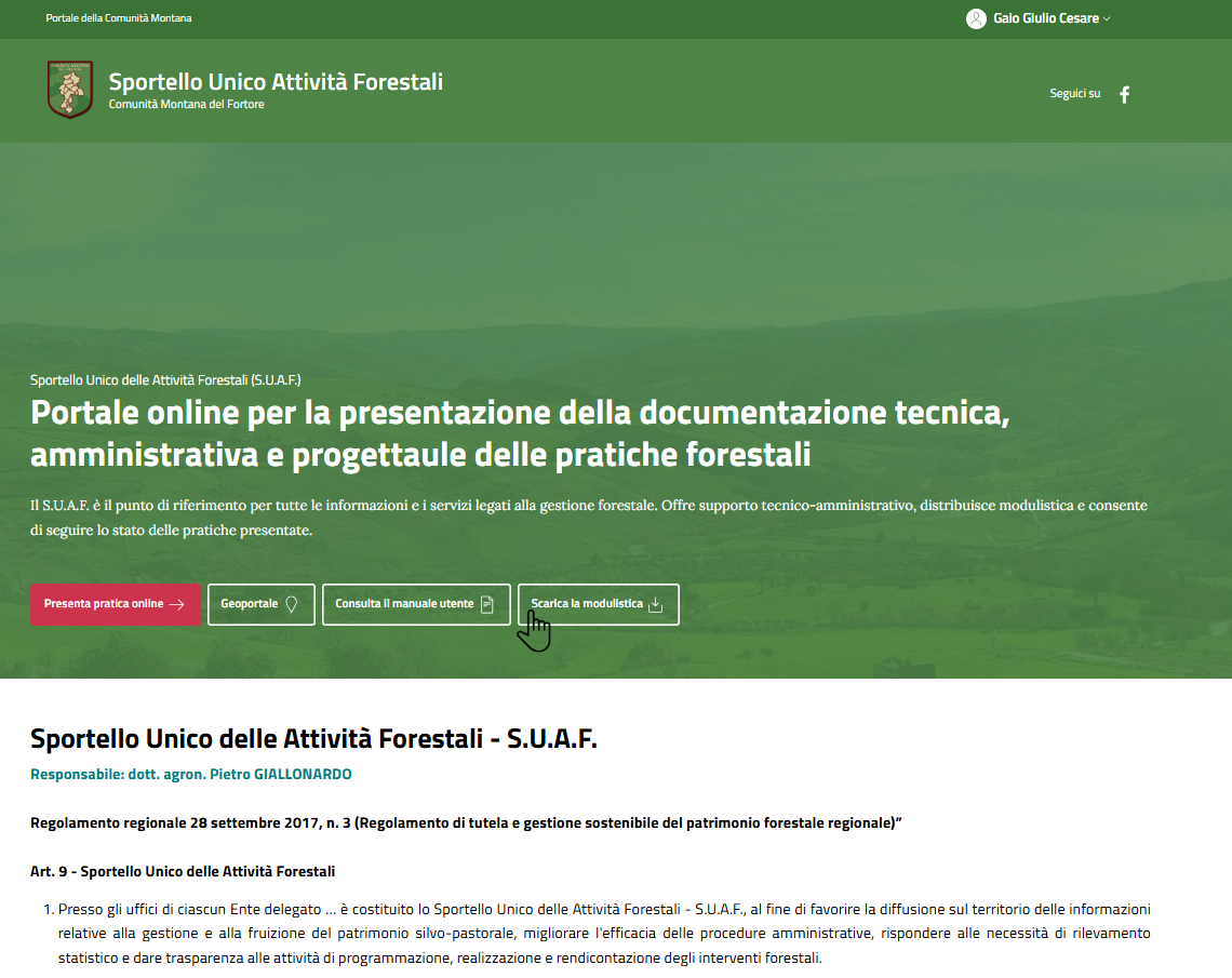 Alt Text