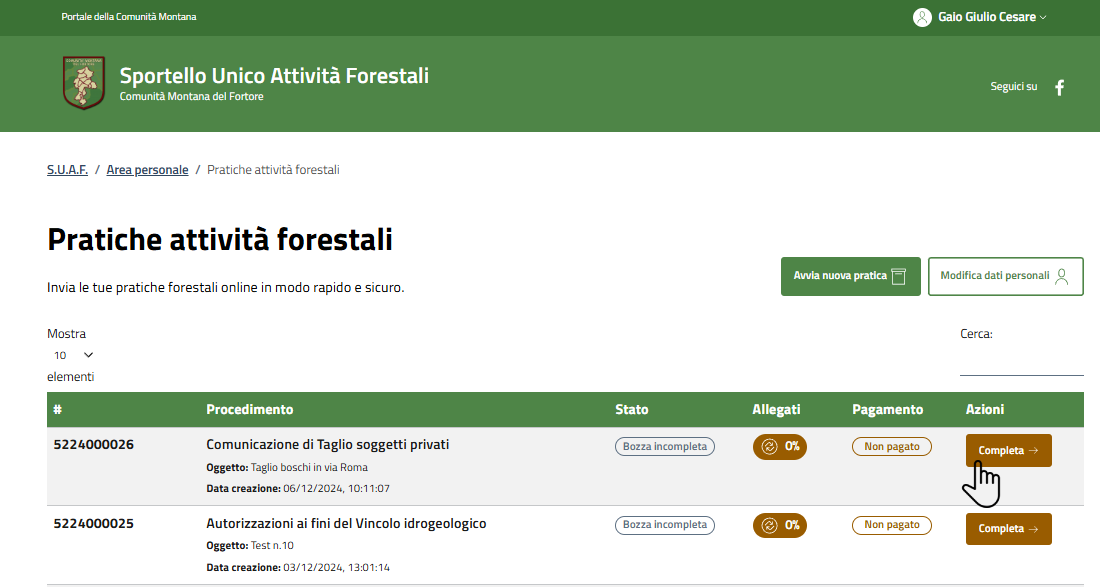 Alt Text